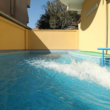 семеен бостън Ravda